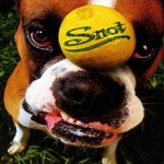 Snot - "Get Some"