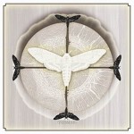 White Moth - "White Moth"